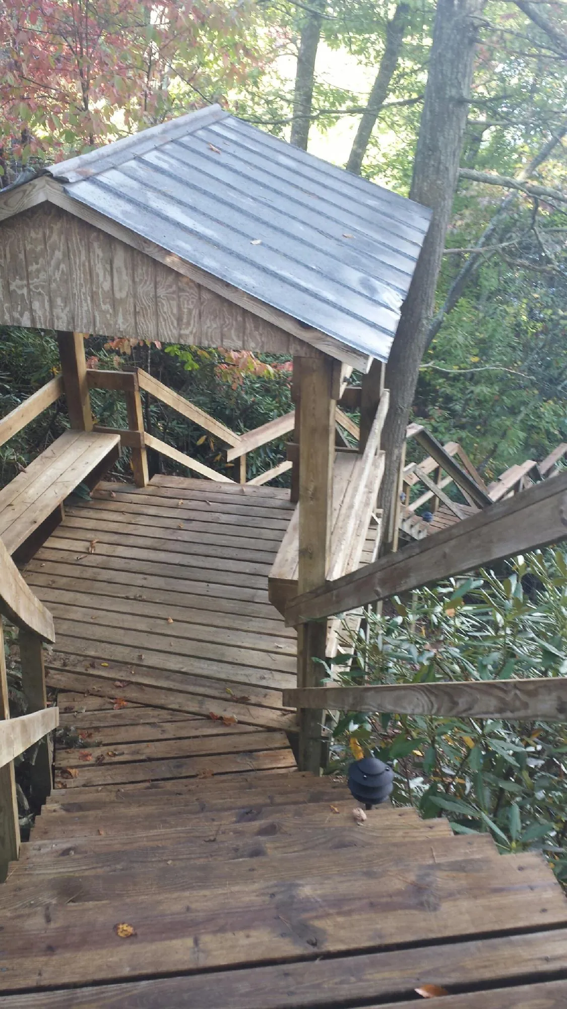 Metal roofed shelter over wooden steps on a wooded walkway — Skylight Repair & Installation work by our crew in Loranger